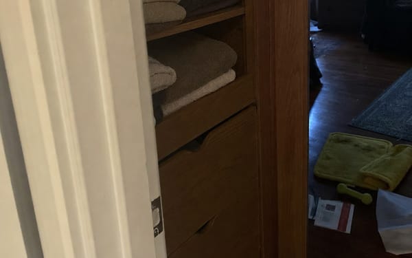 Two cats, 4 & 6 yrs